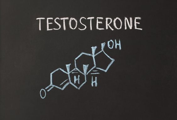Male Testosterone Boosting Exercises at Home