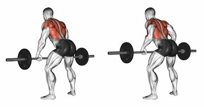 Shoulder and Back Workout 