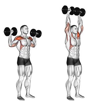 Dumbbell and Shoulder Workout.