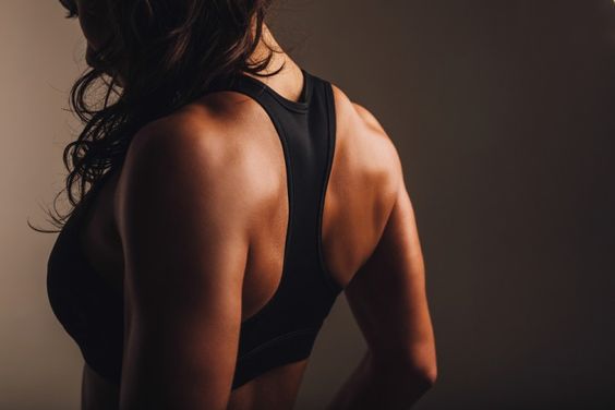Shoulder and Back Workout