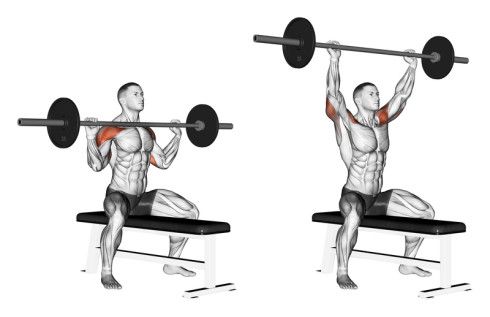 Shoulder and Back Workout 